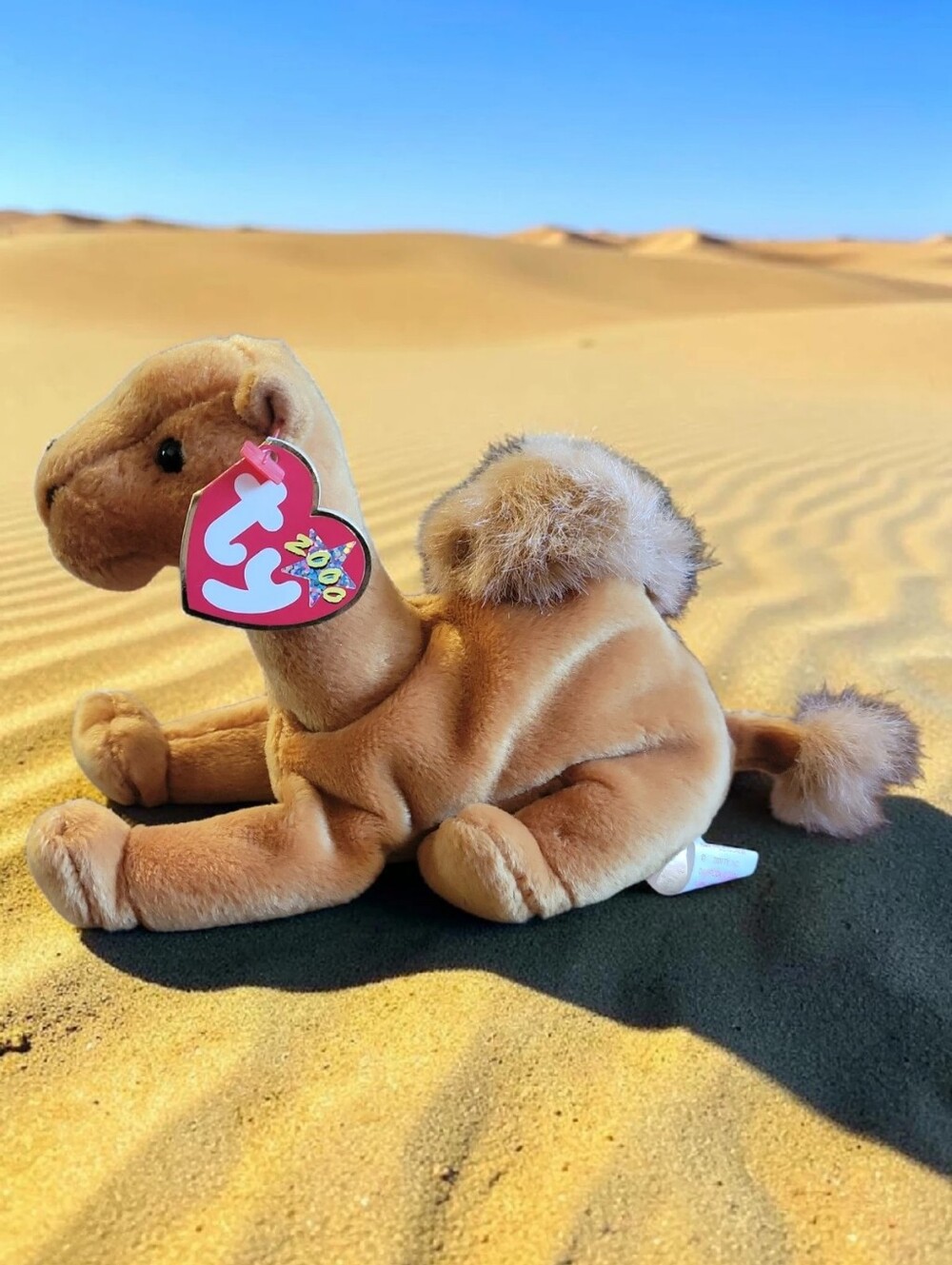 2000 TY Beanie Baby NILES Camel 6.5" MWMT's Stuffed Animal Toy